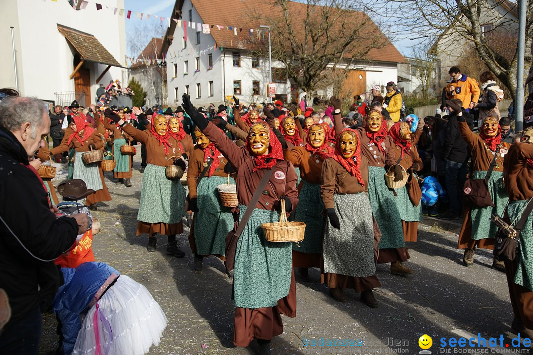 Jubilaeumsumzug - Kuh-Muh: Liggersdorf - Bodensee, 16.02.2020