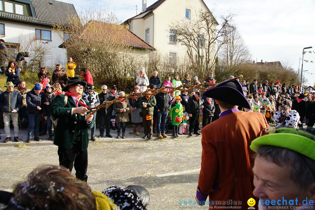 Jubilaeumsumzug - Kuh-Muh: Liggersdorf - Bodensee, 16.02.2020