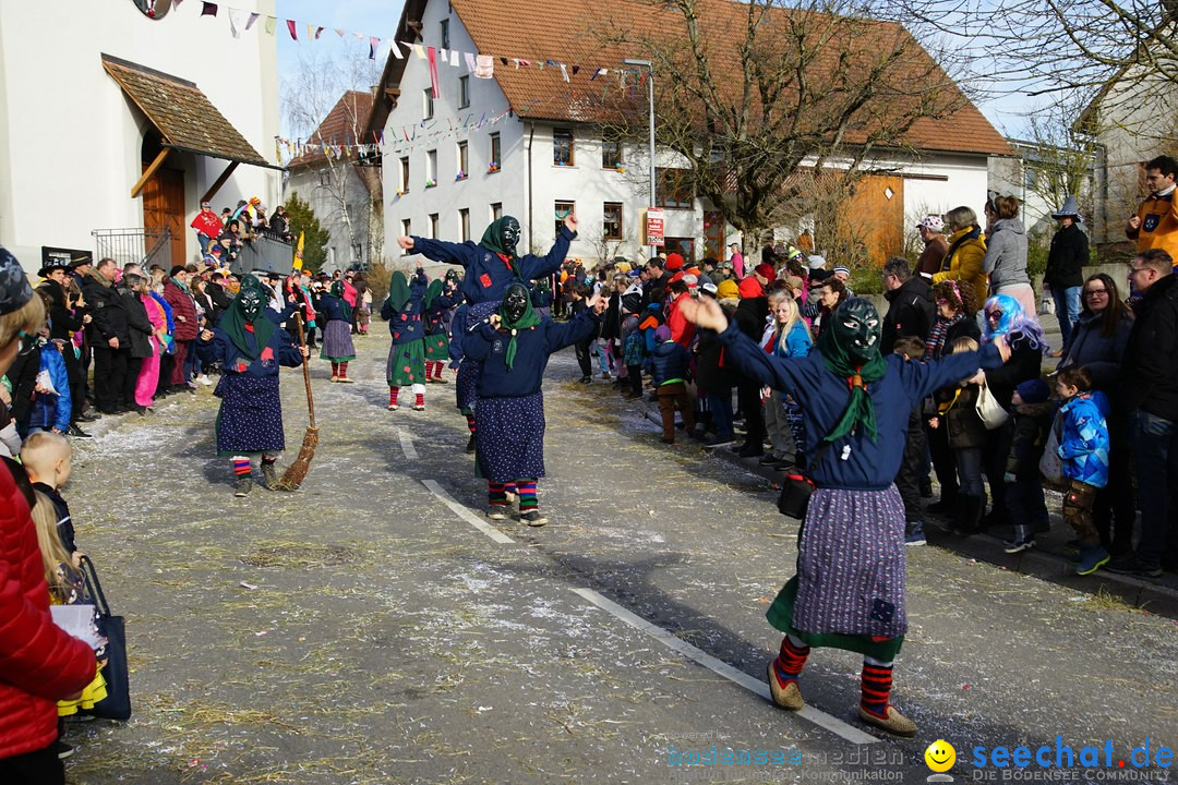 Jubilaeumsumzug - Kuh-Muh: Liggersdorf - Bodensee, 16.02.2020