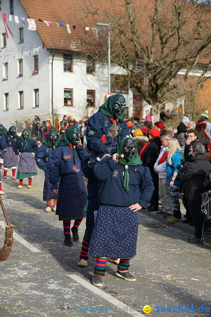 Jubilaeumsumzug - Kuh-Muh: Liggersdorf - Bodensee, 16.02.2020