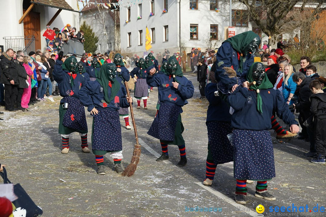 Jubilaeumsumzug - Kuh-Muh: Liggersdorf - Bodensee, 16.02.2020