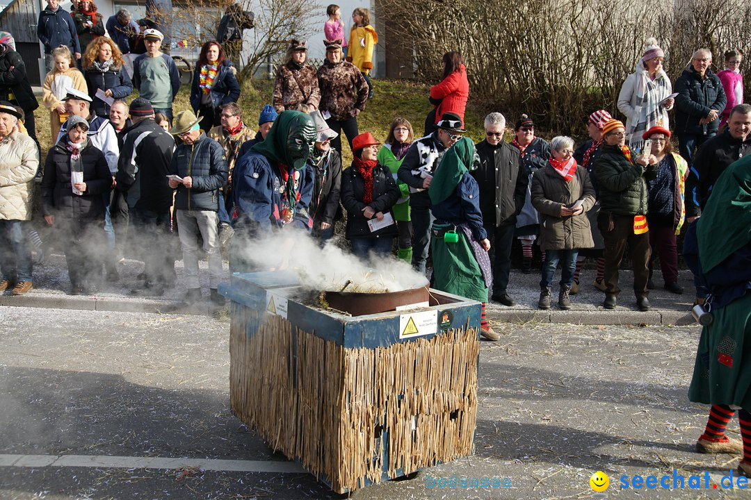 Jubilaeumsumzug - Kuh-Muh: Liggersdorf - Bodensee, 16.02.2020