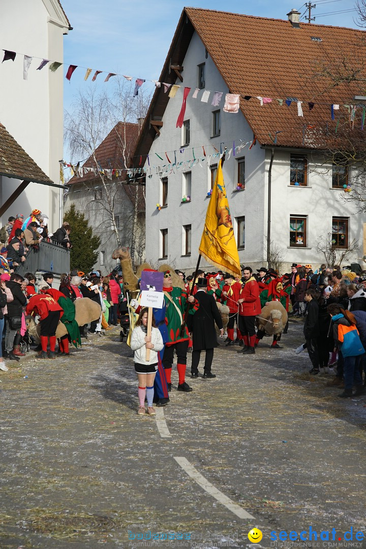 Jubilaeumsumzug - Kuh-Muh: Liggersdorf - Bodensee, 16.02.2020