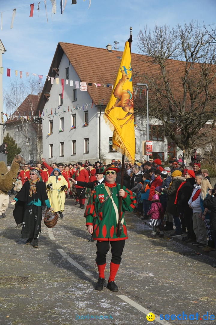 Jubilaeumsumzug - Kuh-Muh: Liggersdorf - Bodensee, 16.02.2020