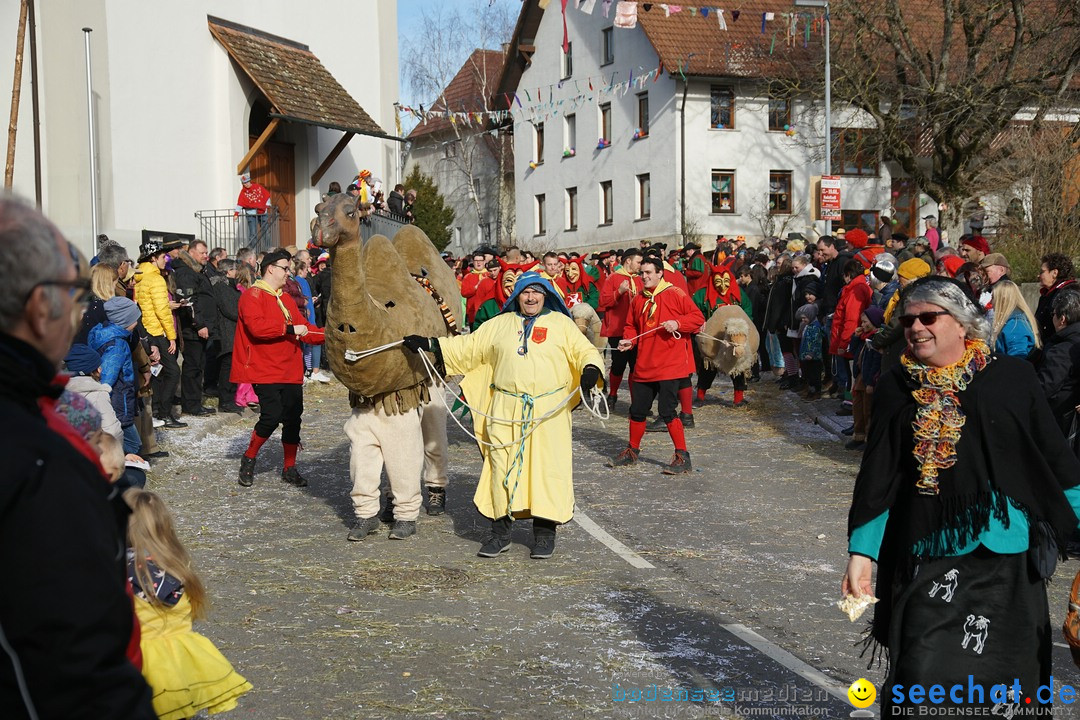 Jubilaeumsumzug - Kuh-Muh: Liggersdorf - Bodensee, 16.02.2020