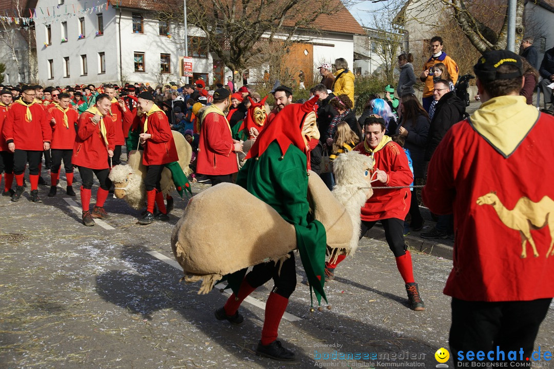 Jubilaeumsumzug - Kuh-Muh: Liggersdorf - Bodensee, 16.02.2020