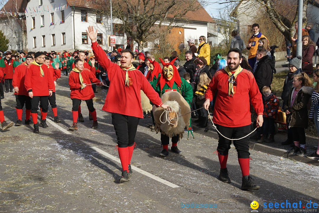 Jubilaeumsumzug - Kuh-Muh: Liggersdorf - Bodensee, 16.02.2020