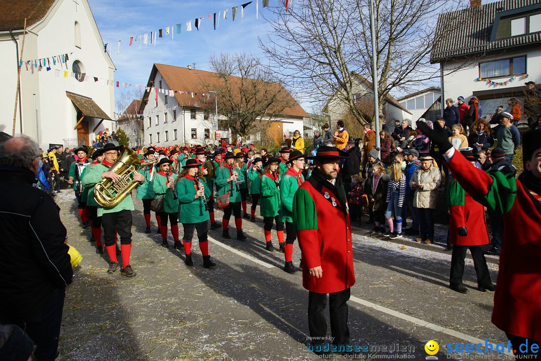 Jubilaeumsumzug - Kuh-Muh: Liggersdorf - Bodensee, 16.02.2020