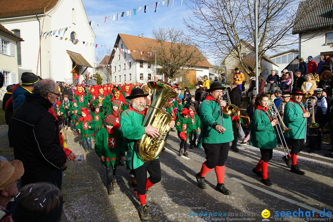 Jubilaeumsumzug - Kuh-Muh: Liggersdorf - Bodensee, 16.02.2020