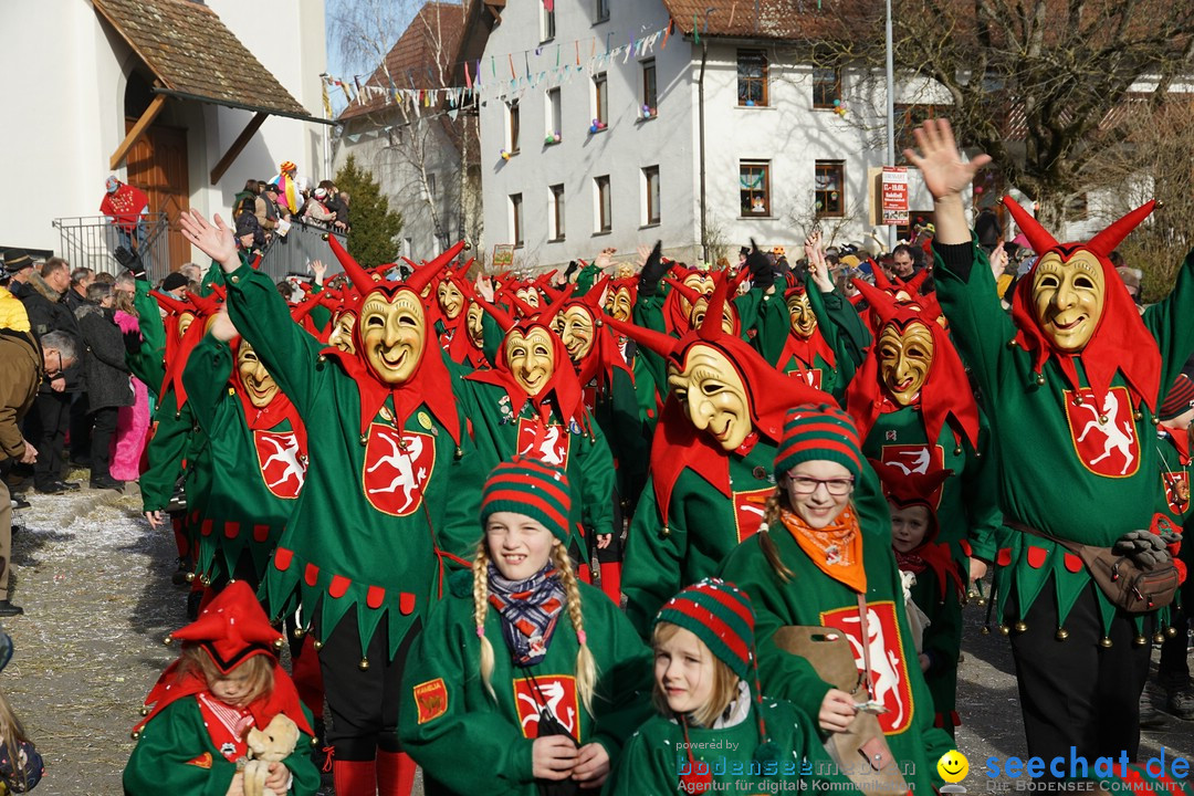 Jubilaeumsumzug - Kuh-Muh: Liggersdorf - Bodensee, 16.02.2020