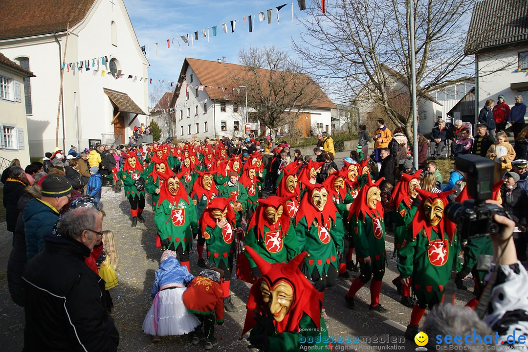 Jubilaeumsumzug - Kuh-Muh: Liggersdorf - Bodensee, 16.02.2020