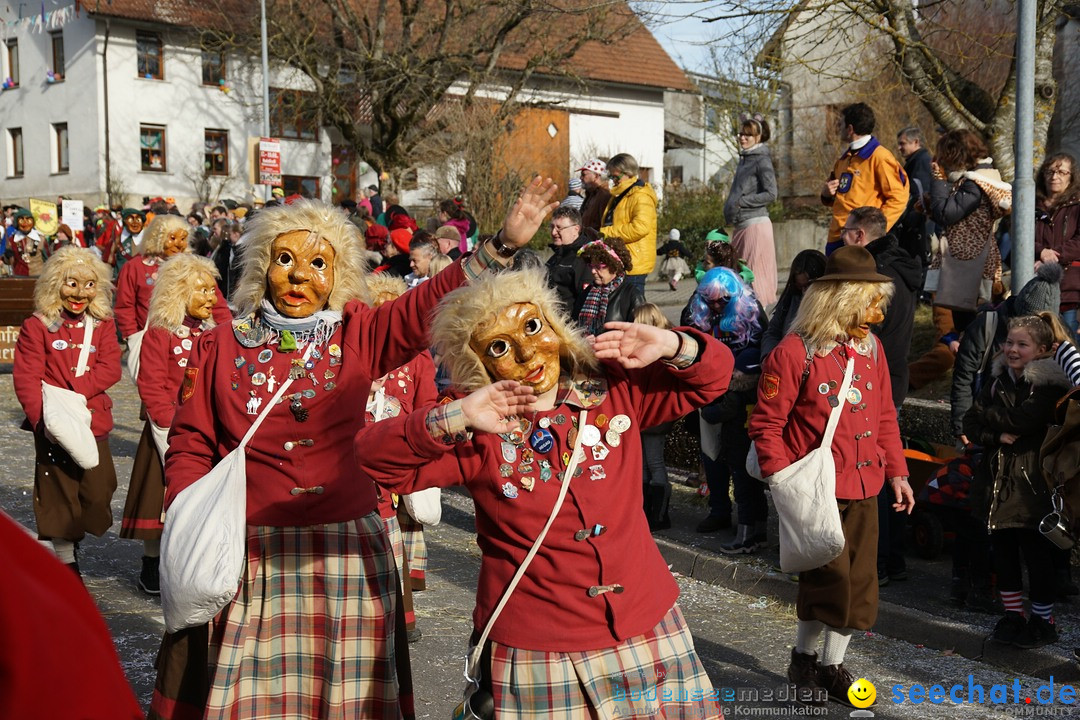 Jubilaeumsumzug - Kuh-Muh: Liggersdorf - Bodensee, 16.02.2020