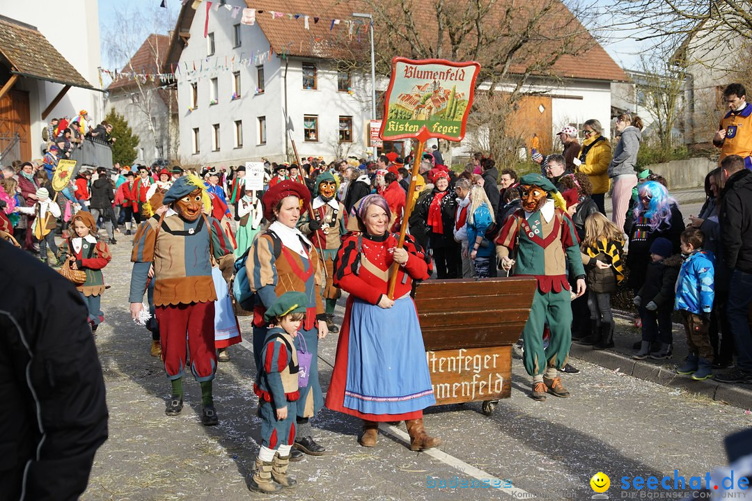 Jubilaeumsumzug - Kuh-Muh: Liggersdorf - Bodensee, 16.02.2020