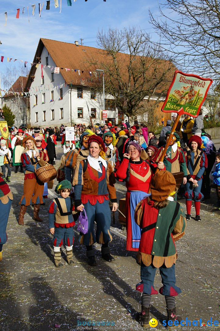 Jubilaeumsumzug - Kuh-Muh: Liggersdorf - Bodensee, 16.02.2020