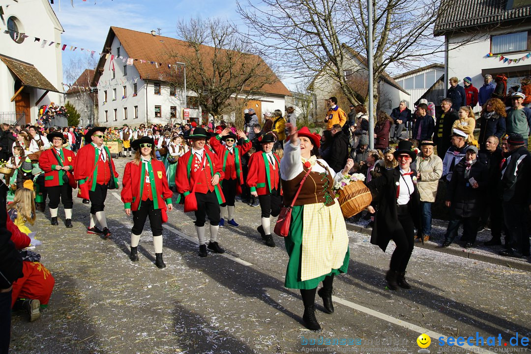 Jubilaeumsumzug - Kuh-Muh: Liggersdorf - Bodensee, 16.02.2020