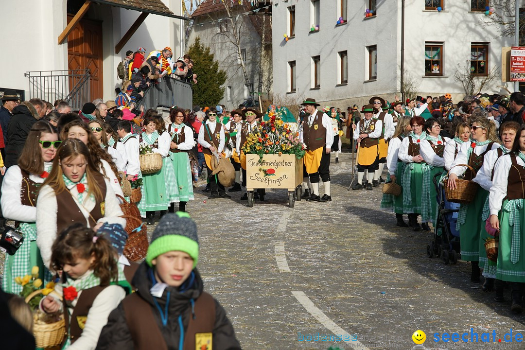 Jubilaeumsumzug - Kuh-Muh: Liggersdorf - Bodensee, 16.02.2020