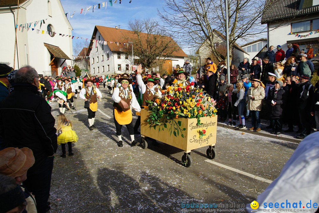 Jubilaeumsumzug - Kuh-Muh: Liggersdorf - Bodensee, 16.02.2020