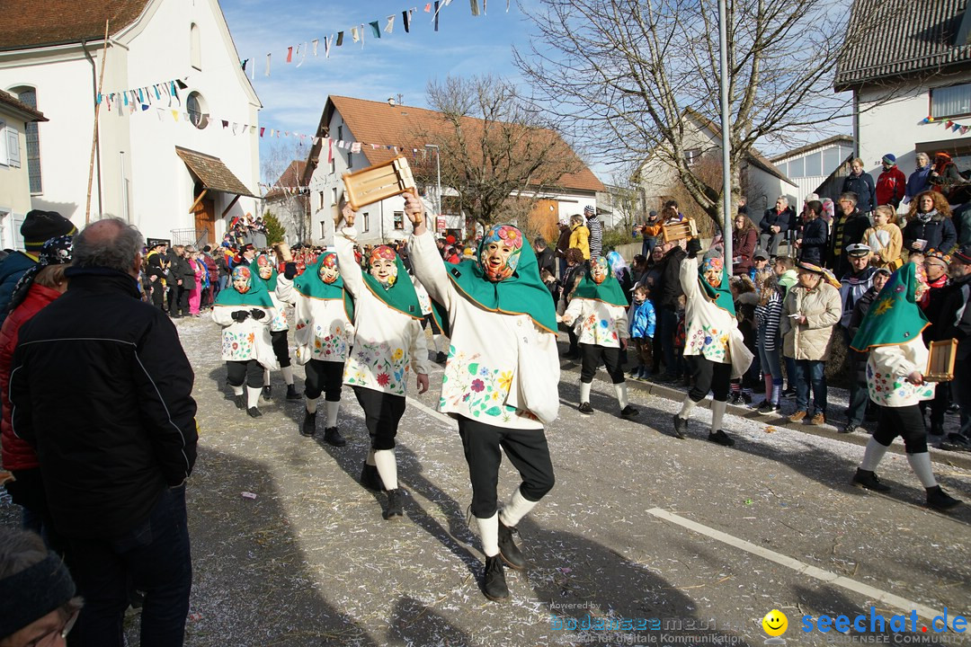 Jubilaeumsumzug - Kuh-Muh: Liggersdorf - Bodensee, 16.02.2020