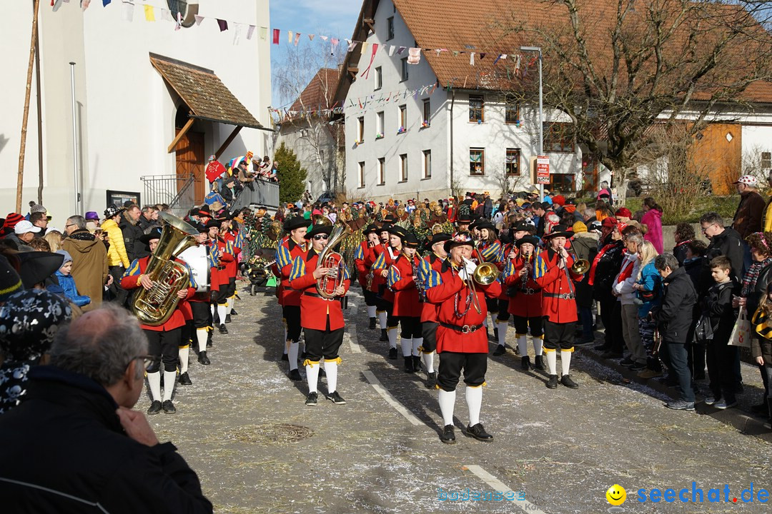 Jubilaeumsumzug - Kuh-Muh: Liggersdorf - Bodensee, 16.02.2020