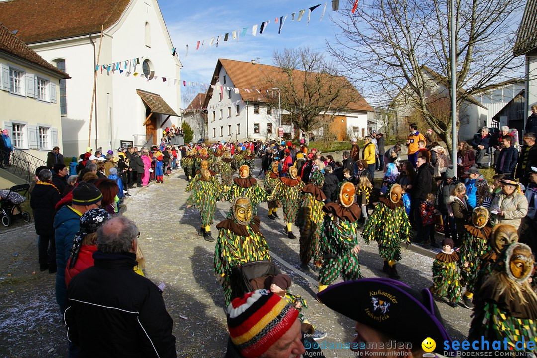 Jubilaeumsumzug - Kuh-Muh: Liggersdorf - Bodensee, 16.02.2020