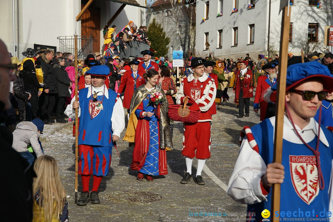 Jubilaeumsumzug - Kuh-Muh: Liggersdorf - Bodensee, 16.02.2020