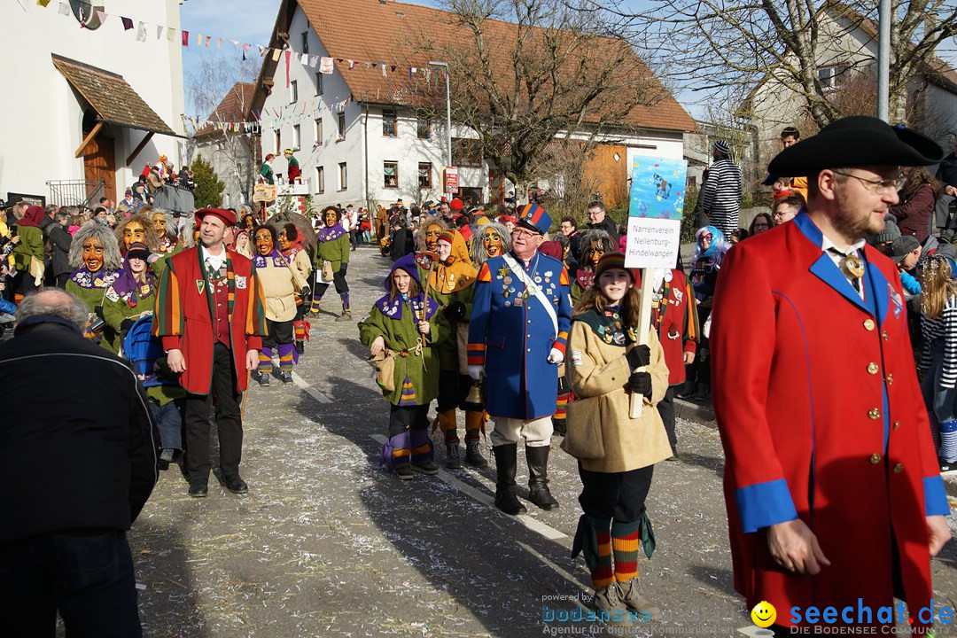 Jubilaeumsumzug - Kuh-Muh: Liggersdorf - Bodensee, 16.02.2020