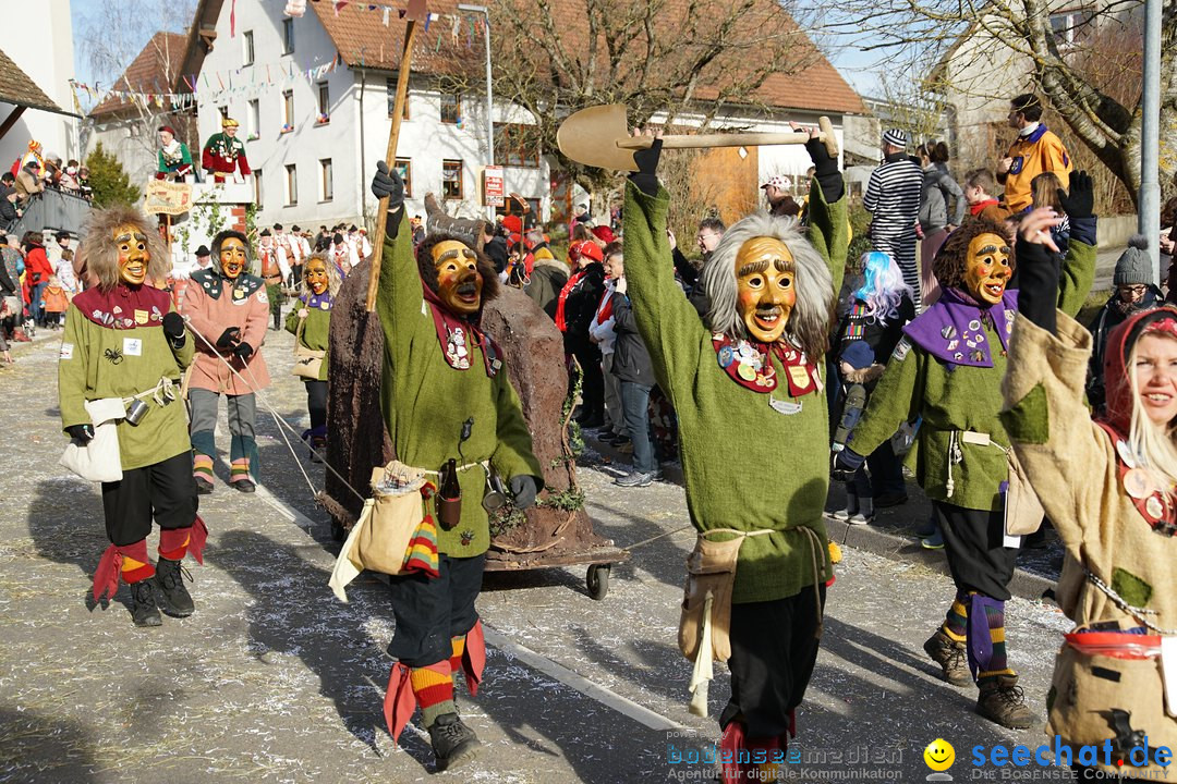 Jubilaeumsumzug - Kuh-Muh: Liggersdorf - Bodensee, 16.02.2020