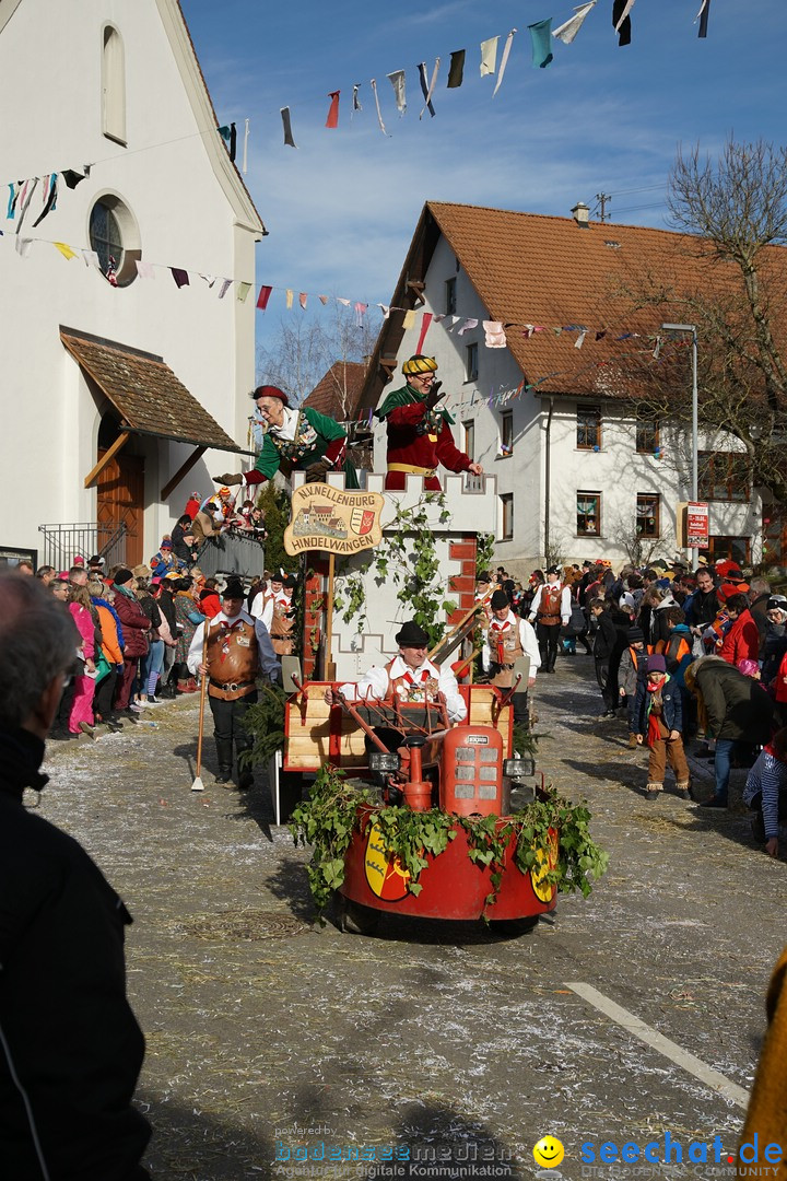 Jubilaeumsumzug - Kuh-Muh: Liggersdorf - Bodensee, 16.02.2020