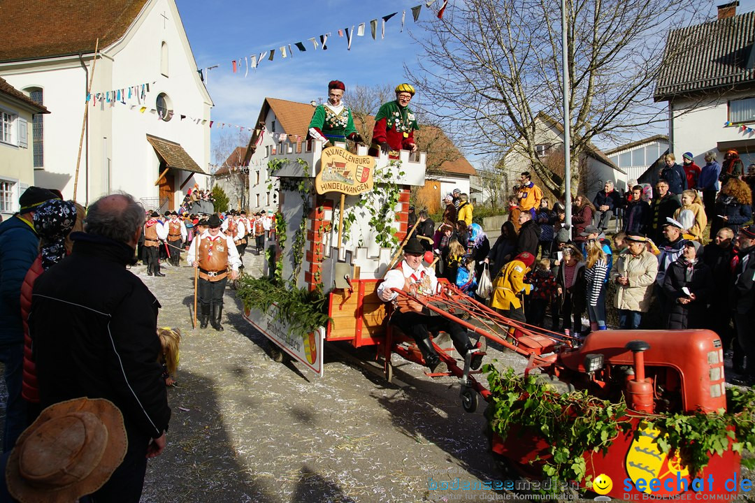 Jubilaeumsumzug - Kuh-Muh: Liggersdorf - Bodensee, 16.02.2020