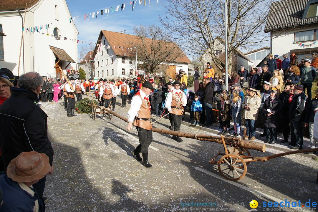 Jubilaeumsumzug - Kuh-Muh: Liggersdorf - Bodensee, 16.02.2020