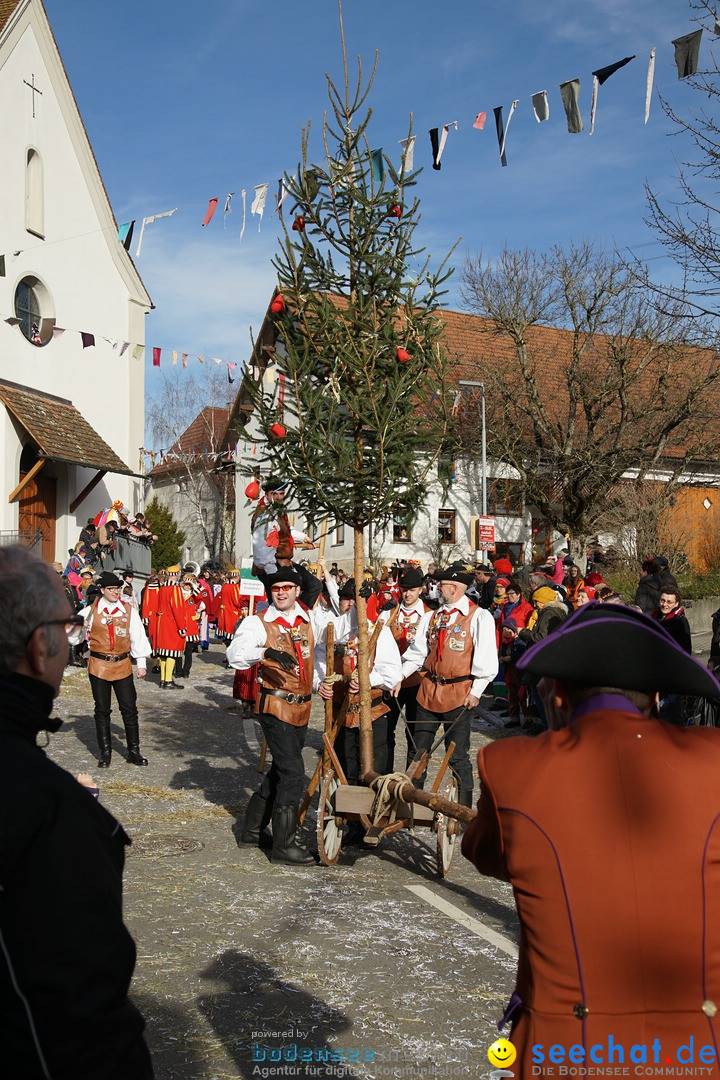 Jubilaeumsumzug - Kuh-Muh: Liggersdorf - Bodensee, 16.02.2020