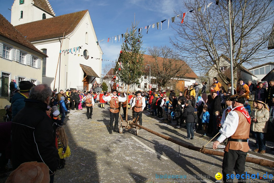 Jubilaeumsumzug - Kuh-Muh: Liggersdorf - Bodensee, 16.02.2020