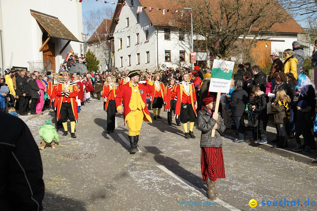 Jubilaeumsumzug - Kuh-Muh: Liggersdorf - Bodensee, 16.02.2020