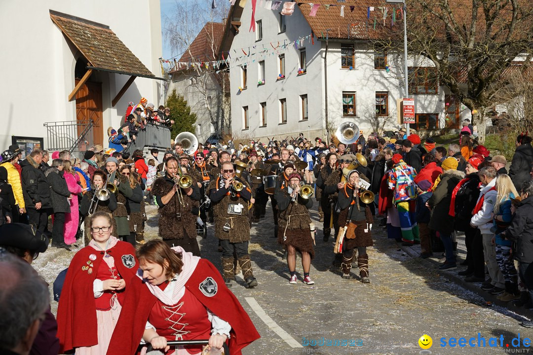 Jubilaeumsumzug - Kuh-Muh: Liggersdorf - Bodensee, 16.02.2020