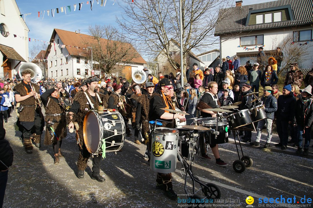 Jubilaeumsumzug - Kuh-Muh: Liggersdorf - Bodensee, 16.02.2020