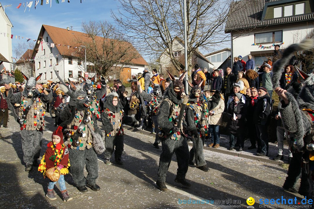 Jubilaeumsumzug - Kuh-Muh: Liggersdorf - Bodensee, 16.02.2020