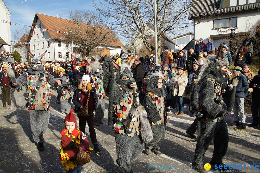 Jubilaeumsumzug - Kuh-Muh: Liggersdorf - Bodensee, 16.02.2020