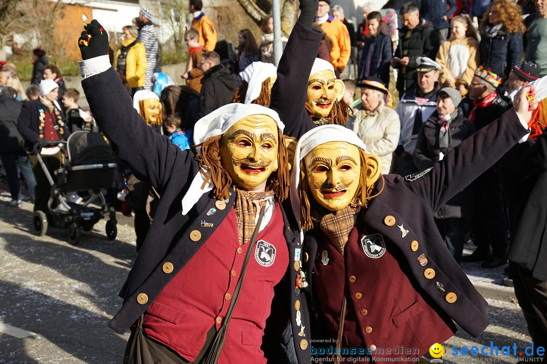 Jubilaeumsumzug - Kuh-Muh: Liggersdorf - Bodensee, 16.02.2020