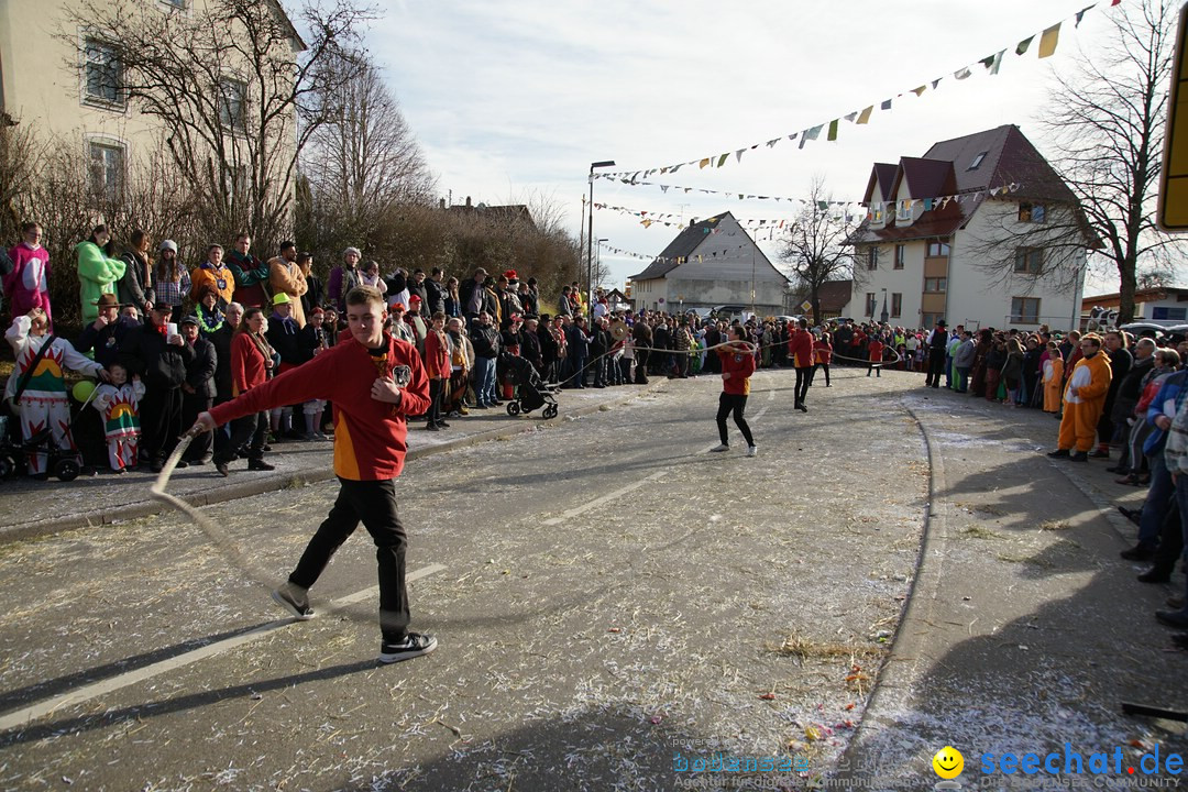 Jubilaeumsumzug - Kuh-Muh: Liggersdorf - Bodensee, 16.02.2020