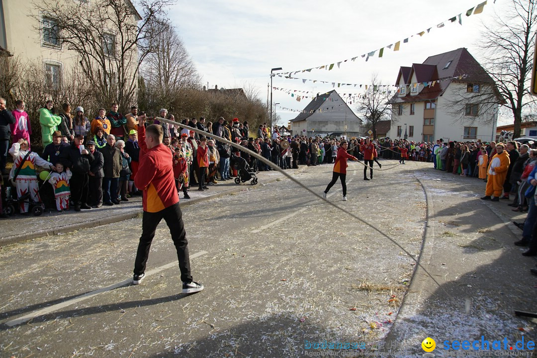 Jubilaeumsumzug - Kuh-Muh: Liggersdorf - Bodensee, 16.02.2020