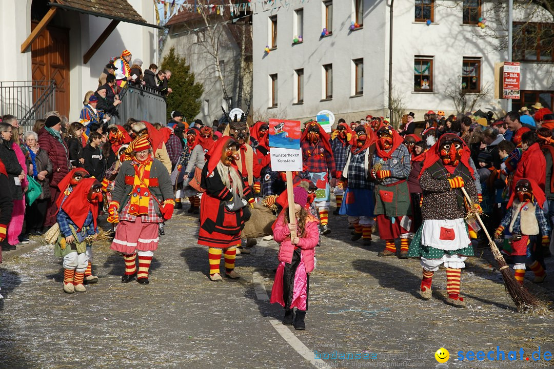 Jubilaeumsumzug - Kuh-Muh: Liggersdorf - Bodensee, 16.02.2020