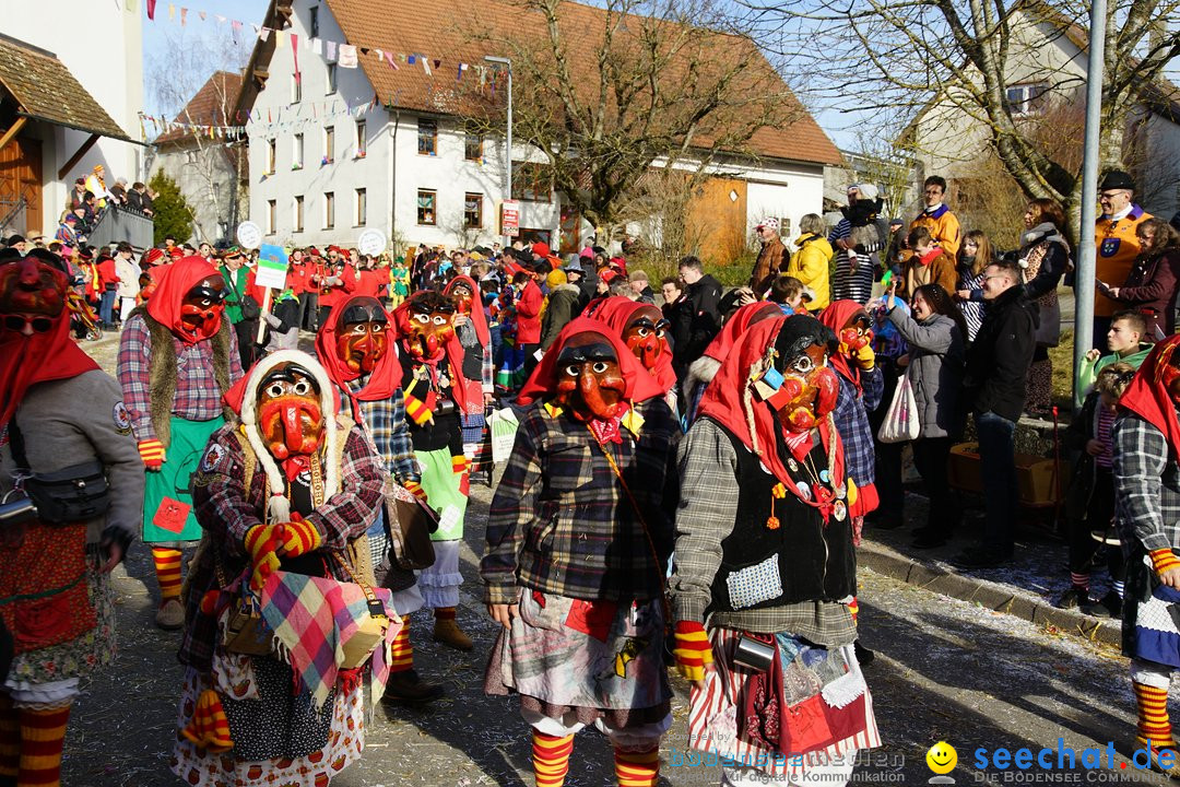 Jubilaeumsumzug - Kuh-Muh: Liggersdorf - Bodensee, 16.02.2020