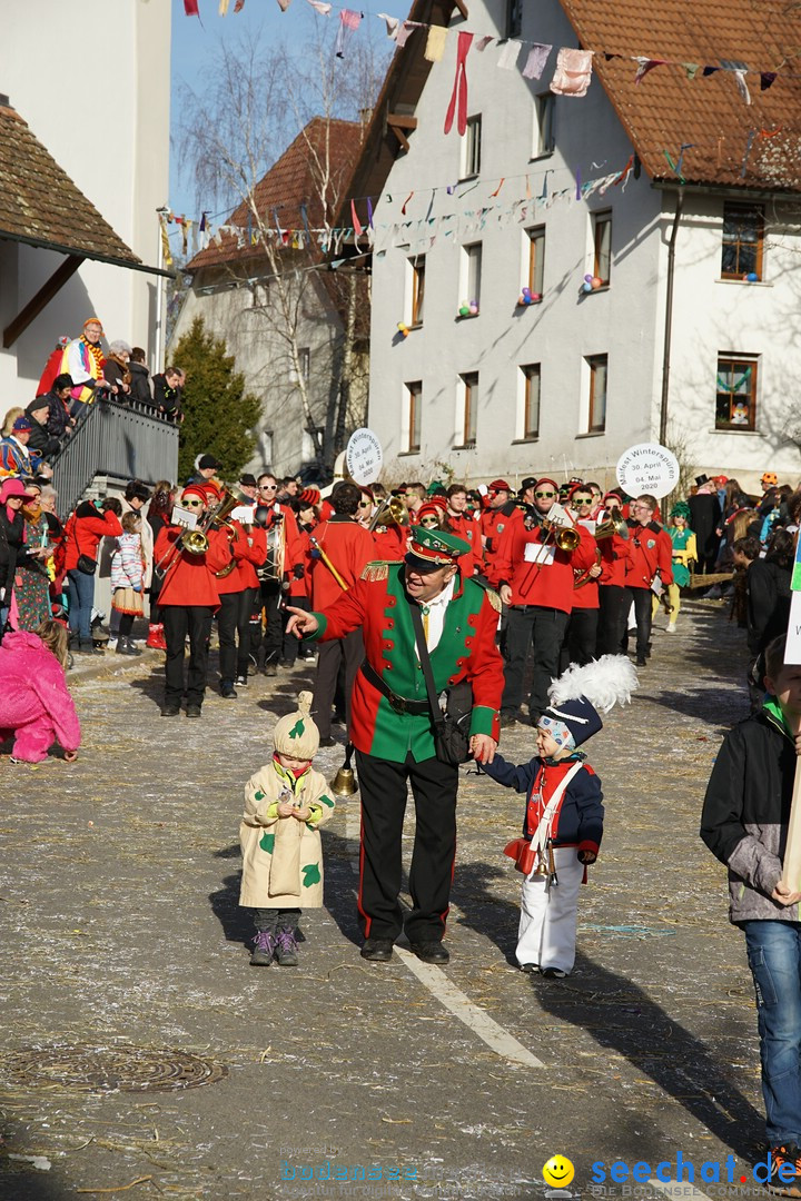 Jubilaeumsumzug - Kuh-Muh: Liggersdorf - Bodensee, 16.02.2020