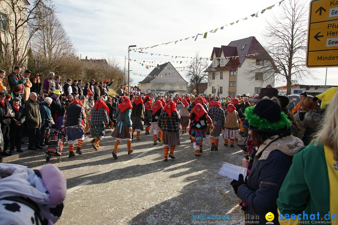 Jubilaeumsumzug - Kuh-Muh: Liggersdorf - Bodensee, 16.02.2020