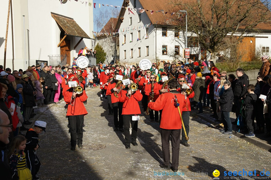 Jubilaeumsumzug - Kuh-Muh: Liggersdorf - Bodensee, 16.02.2020