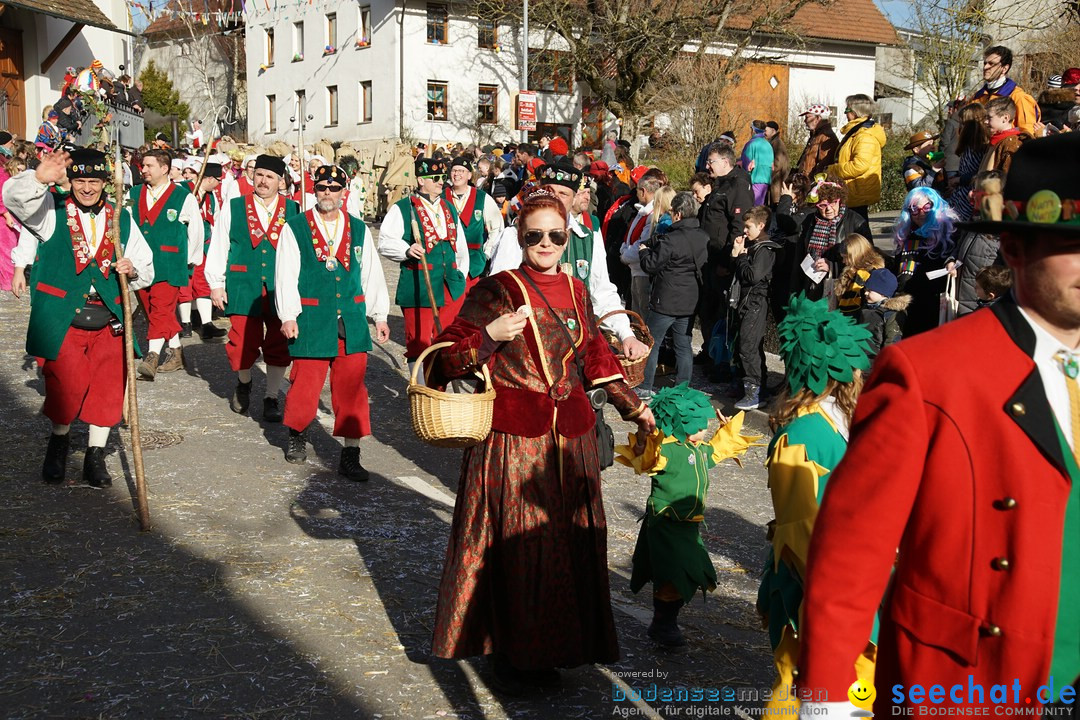 Jubilaeumsumzug - Kuh-Muh: Liggersdorf - Bodensee, 16.02.2020