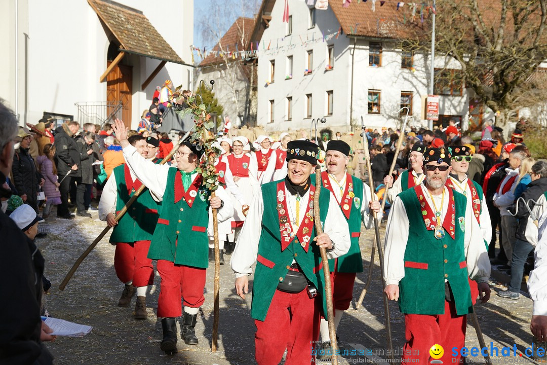 Jubilaeumsumzug - Kuh-Muh: Liggersdorf - Bodensee, 16.02.2020