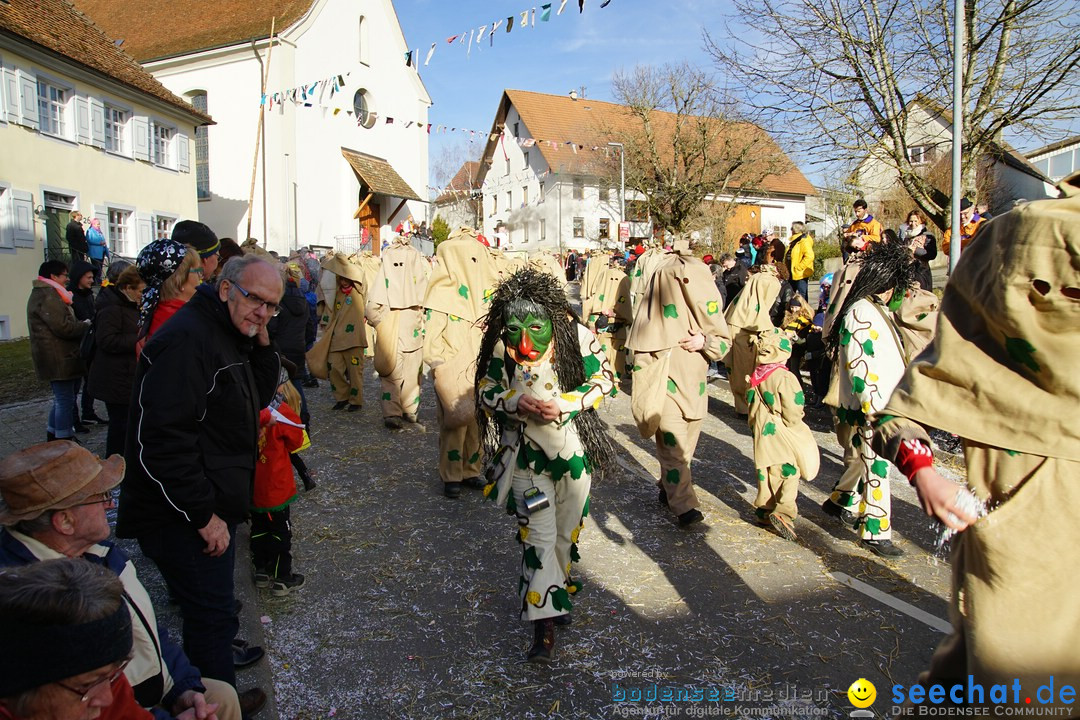 Jubilaeumsumzug - Kuh-Muh: Liggersdorf - Bodensee, 16.02.2020