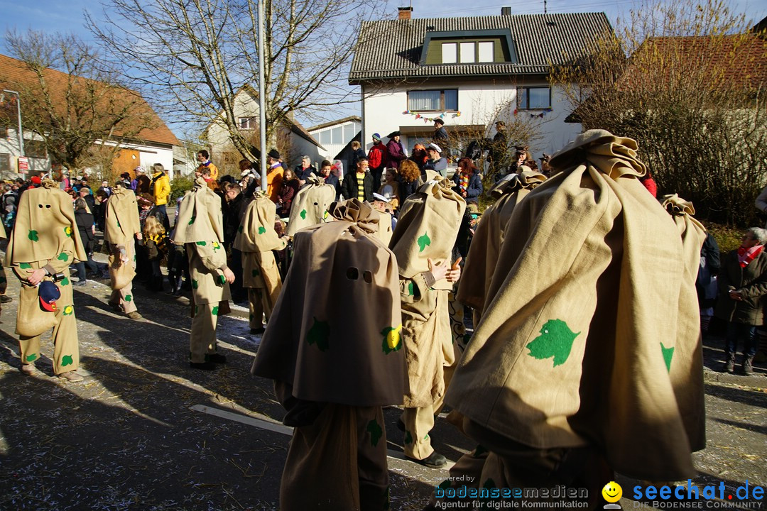 Jubilaeumsumzug - Kuh-Muh: Liggersdorf - Bodensee, 16.02.2020