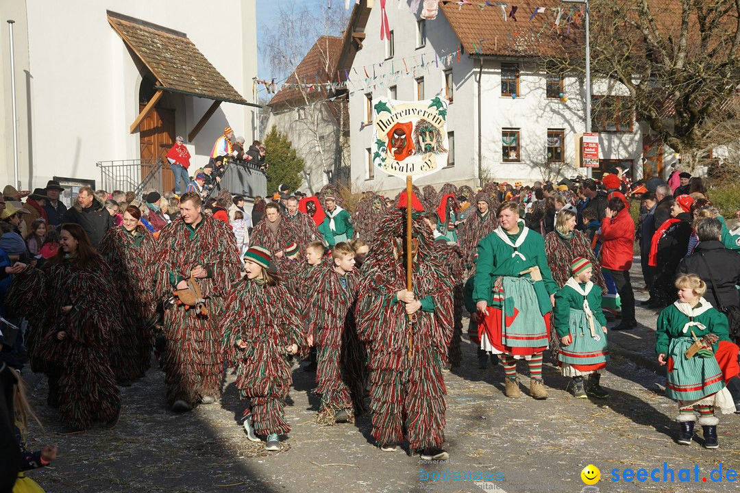 Jubilaeumsumzug - Kuh-Muh: Liggersdorf - Bodensee, 16.02.2020